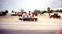  faut-il rouler  cheval ?